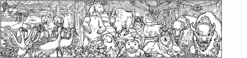 Seven Canadian Animals - 3367