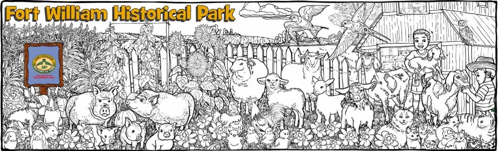 Fort William - Pot Bellied Pigs - 1530