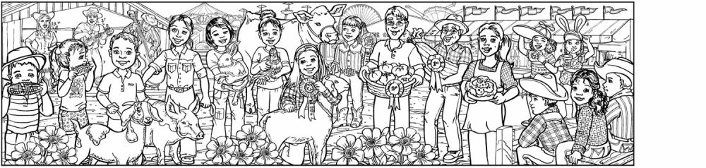 Fair Competitions - 3307